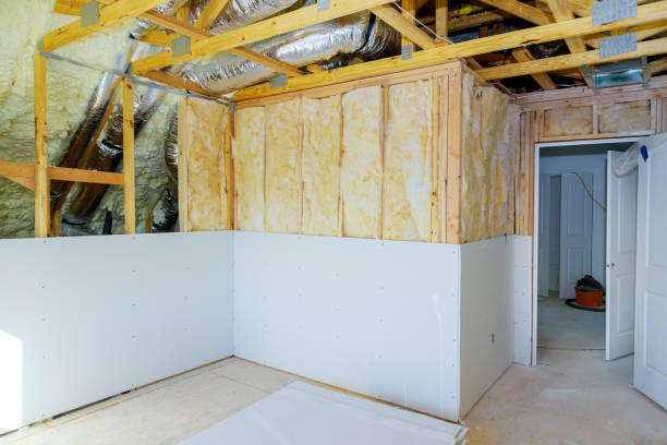 Best Commercial Insulation in Holtville, AL