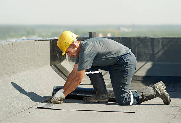 Best Insulation for Specific Applications in Holtville, AL