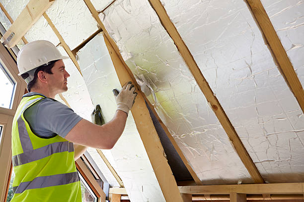 Best Insulation Maintenance and Repair in Holtville, AL